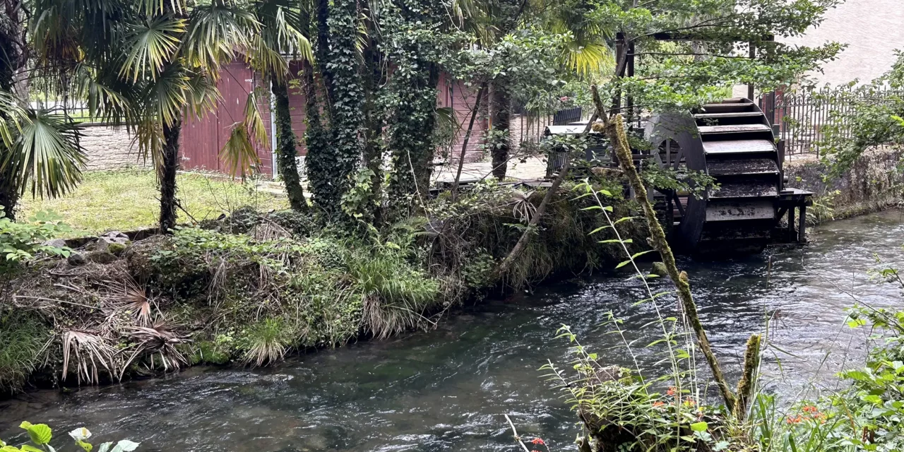 La Fontaine du Chêne : une histoire de patience et de promesses