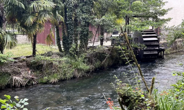 La Fontaine du Chêne : une histoire de patience et de promesses