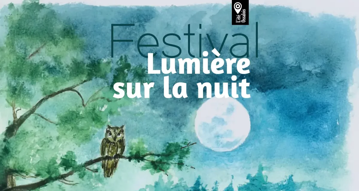 Festival Lumière sur la nuit