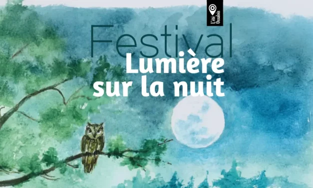 Festival Lumière sur la nuit